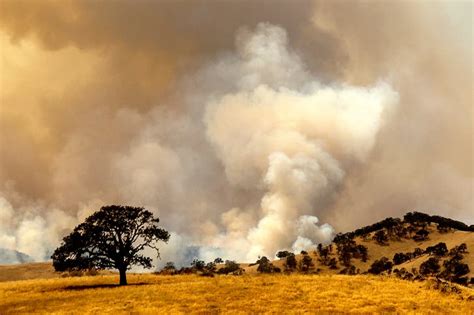 These Surreal Photos Demonstrate The Severity Of CA's Wildfires ...