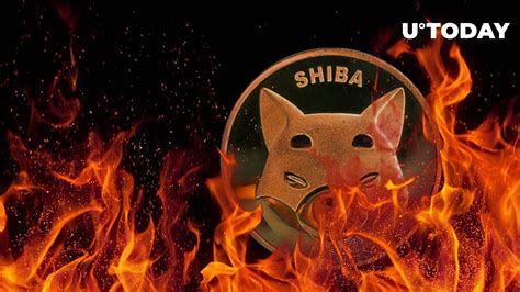 SHIB Burn Rate Adds 590% as SHIB Token Hits Major Milestone