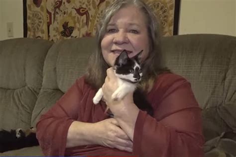 Virginia Woman's New Kitten is Just What the Doctor Ordered (Literally) - Free Beer and Hot Wings
