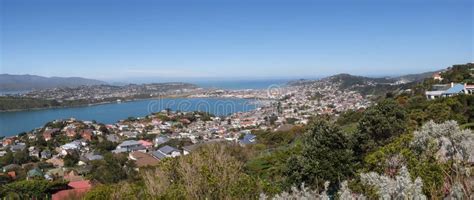 The Mount Victoria Lookout, Wellington. Stock Image - Image of residential, north: 73949353