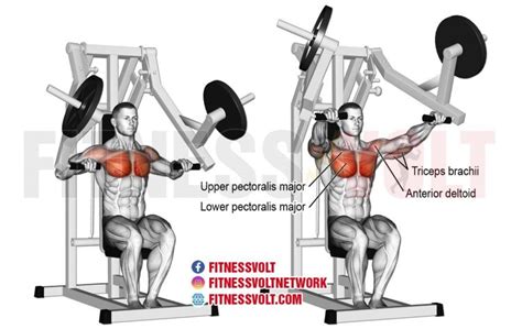 Machine Chest Press Exercise Guide and Videos – Fitness Volt