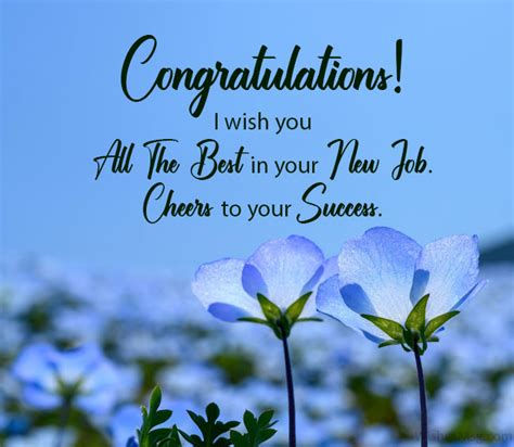 160+ Best Wishes for New Job - Congratulations Messages | WishesMsg (2022)