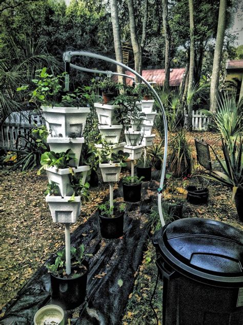 Orlando Urban Yogini | Garden of Vegan: Easy Hydroponics for Backyard ...