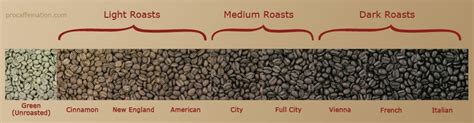 Guide to Coffee Roasting Levels with Charts! Info Before You Buy ...