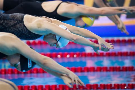 Abu Dhabi to host FINA World Swimming Championships | Time Out Abu Dhabi