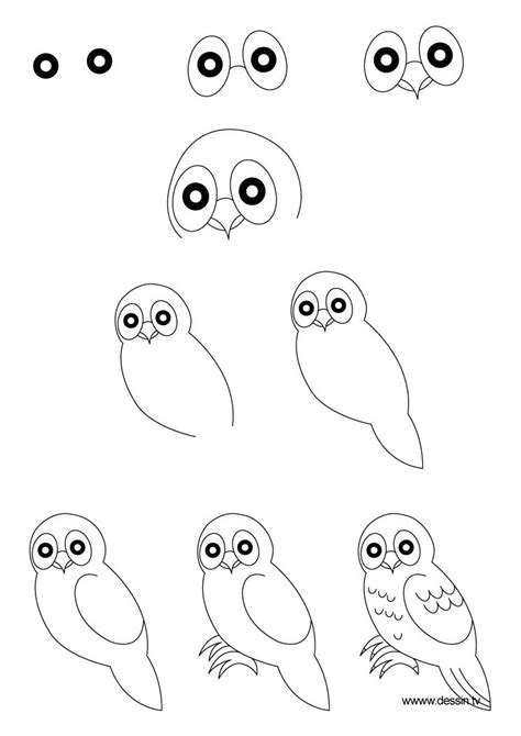 How To Draw A Owl Step By Step | learn how to draw a owl with simple step by step instructions ...