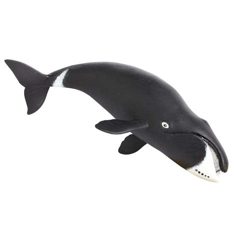 Bowhead Whale Toy | Sea Life | Safari Ltd®