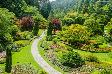 Pacific Northwest Photography: The Butchart Gardens: Sunken Garden