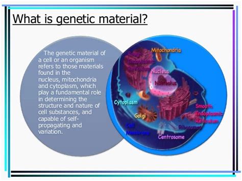 DNA as genetic material