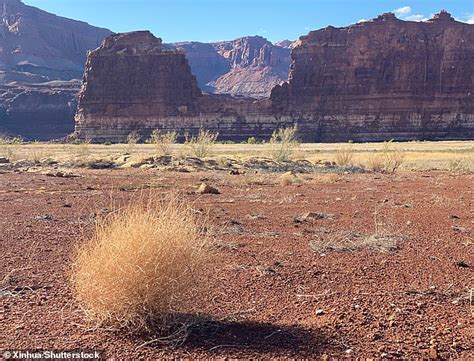 Lake Powell sees spectacular WATERFALLS form after Utah reservoir was ...