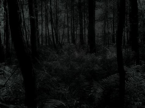 Dark Forest Wallpapers - Wallpaper Cave