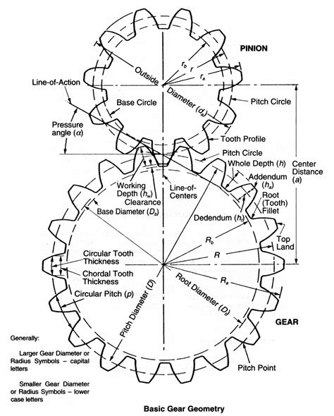 Base Diameter of Gear - BeckhamcelWoodward