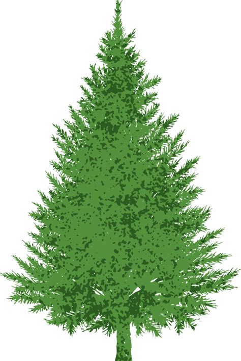 Download High Quality Tree clipart evergreen Transparent PNG Images ...