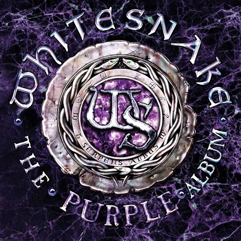 Best Buy: The Purple Album [LP] VINYL