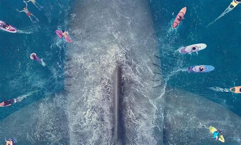 'The Meg' Just Did Way Better at the Box Office Than Anyone Expected