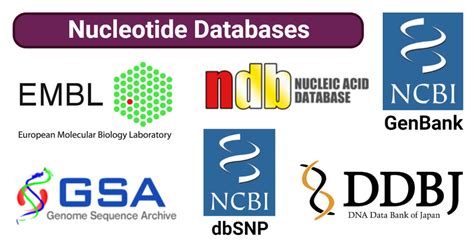 Nucleotide Databases- Definition, Types, Examples, Uses