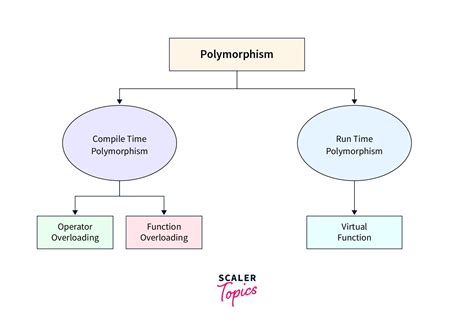 What is Polymorphism? - Scaler Topics