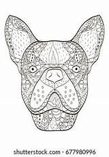 French Bulldog Head Zentangle Stylized Vector Vetor Stock Livre De  sketch template