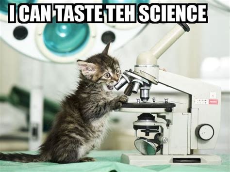 Pets | Science cat, Cats, Cat memes