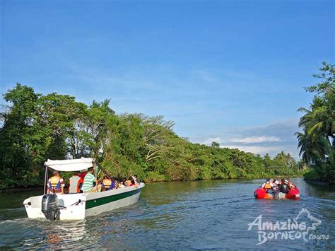 Amazing Kota Kinabalu Wildlife & Fireflies Sunset Cruise - Amazing Borneo Tours