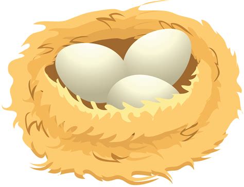 Nest PNG