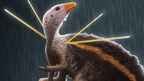 Ubirajara jubatus: A dinosaur with 'hair' and 'ribbons' enthrals ...