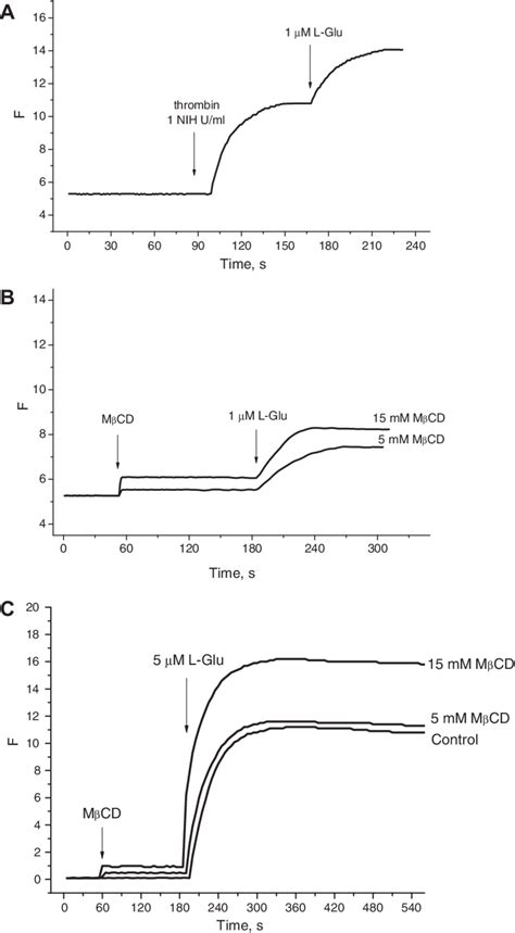 Glutamate dehydrogenase assay. Rabbit platelets (0.2 mg protein/ml ...