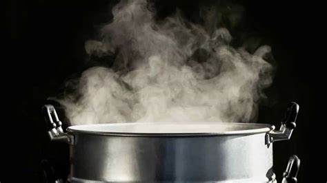 Here's Why Steaming Food Is The Most Healthy Cooking Technique