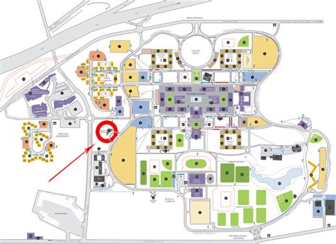 Ualbany Map | Color 2018