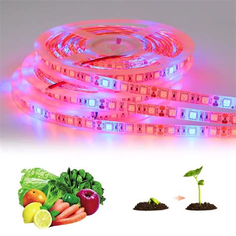 Full Spectrum LED Grow Lights DC 12V SMD 5050 5M LED Strip Light Phyto ...