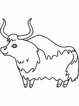 Yak coloring Pages sketch template