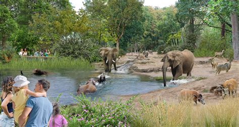 150 Jahre Grüner Zoo Wuppertal: Eine neue Savanne für die Elefanten