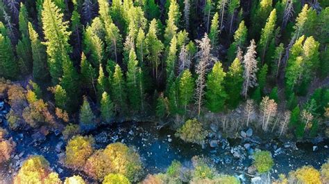 Explore Over Nine Million Acres of National Forests in Wyoming