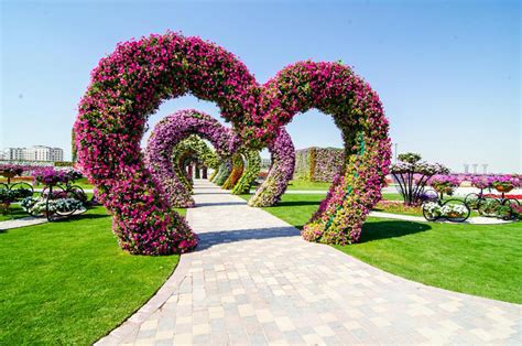 Flower Garden: Miracle Garden Location Map