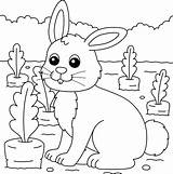Rabbit Coloring Page For Kids 5073735 Vector Art At Vecteezy sketch template