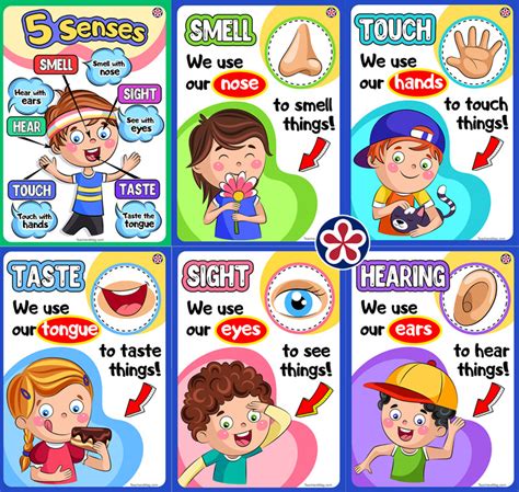 Free Five Senses Worksheets. TeachersMag.com