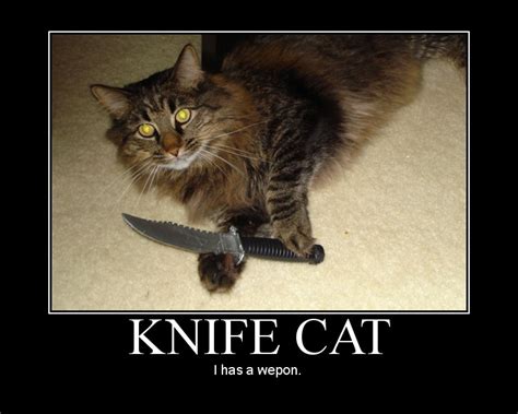 Cat Meme With Knives