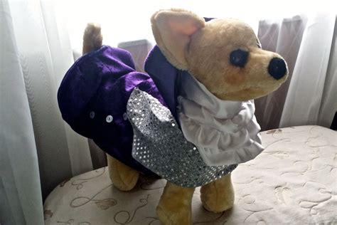 Dog Purple Rain Prince Costume Coat for all size dogs | Prince purple ...