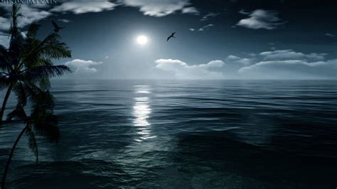 Res: 1920x1080, Nature Perfect Night Sea Island Moon Ocean Moonlight Hd Wallpaper Iphone Birds ...