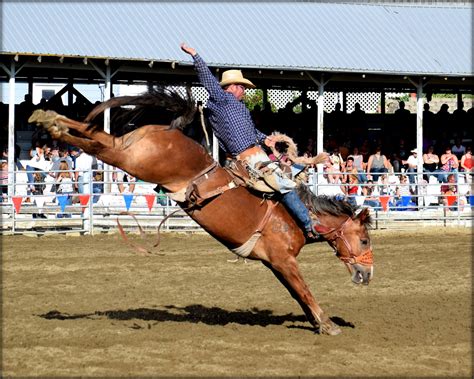 Cowliltz County Fair & Rodeo