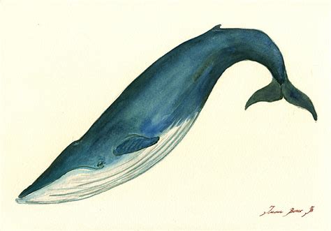 Blue Whale painting Painting by Juan Bosco - Pixels