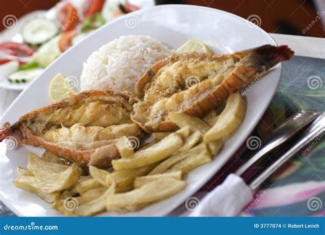 Caribbean lobster tails stock photo. Image of fries, corn - 3777074