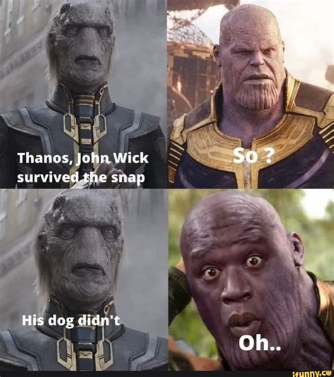 Thanos, John Wick So ? survived the snap His dog didn't Oh.. - iFunny