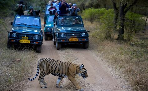 Ranthambore – Prime Destination for Wildlife Photography in India