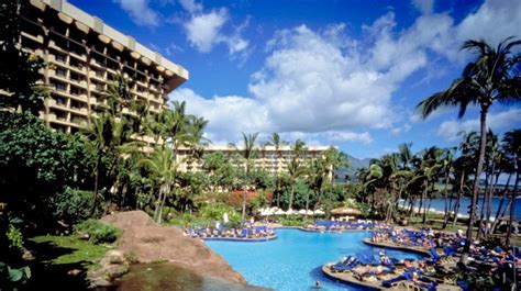 Top 5 Maui Hotels in Lahaina | Banyan Tree Divers