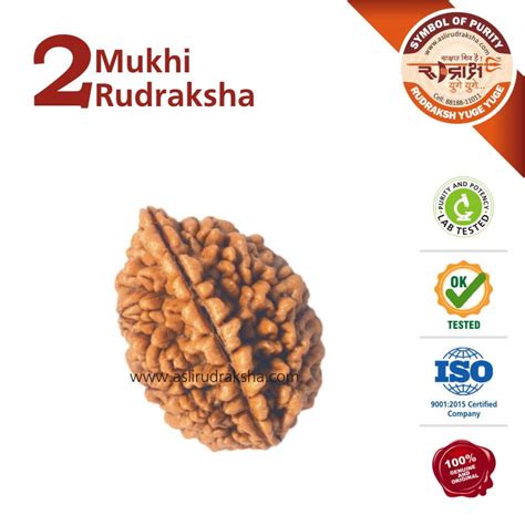 2 Mukhi Original Rudraksha – Asli Rudraksha