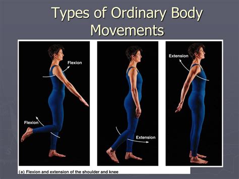 PPT - Body Movements PowerPoint Presentation, free download - ID:2181259