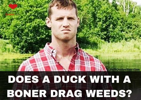 Best letterkenny memes | Letterkenny quotes, Response memes, Letterkenny