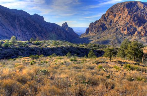 Big Bend National Park is why everything's big in Texas. | National parks, National park ...