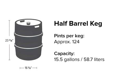 Guide To Beer Keg Sizes And Dimensions, 41% OFF